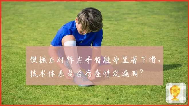 樊振东对阵左手将胜率显著下滑,技术体系是否存在特定漏洞?