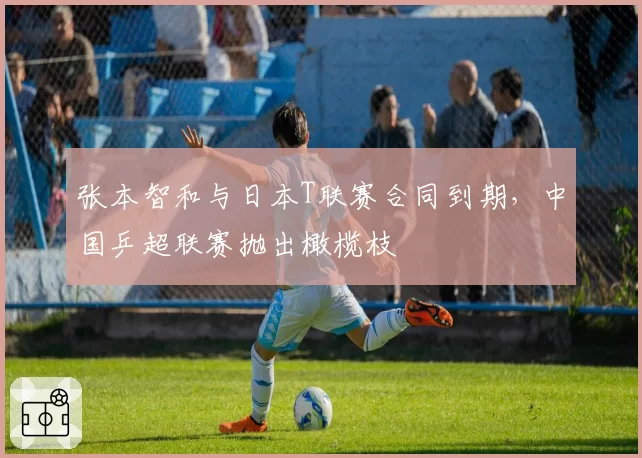 张本智和与日本T联赛合同到期，中国乒超联赛抛出橄榄枝